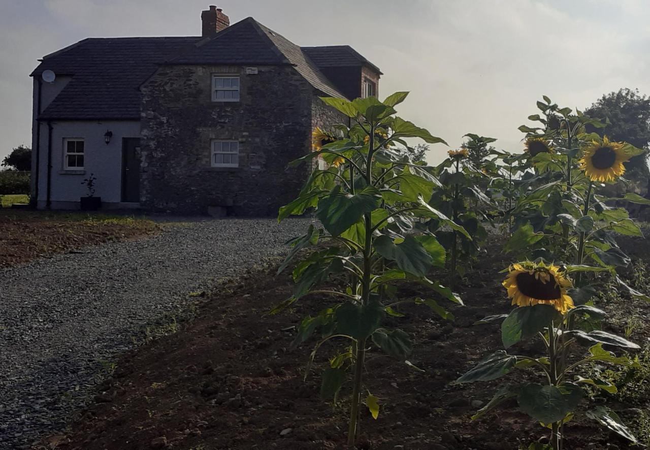 The Shepherd'S Lodge Tullyallen 외부 사진